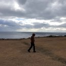 신흥목장 이미지