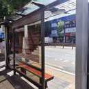 중앙로 파리바게트 앞 이미지