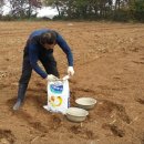 강화남부농업협동조합 양도지점 이미지