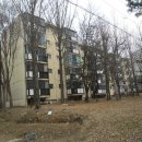 삼육사로01 이미지