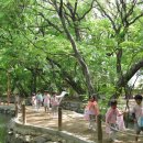 명화어린이집 이미지