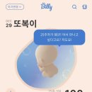 카페꿈사랑 | 귀찮아서 몰아쓰는 나의 임신일기 12주~34주 휴직전까지(아기성별,연말생일파티,만삭사진,성심당,홈캠등)