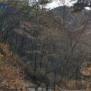 반송동232 이미지