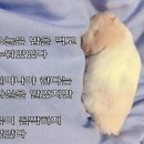 부산해물탕해물찜 | 5월은 가정의달