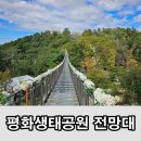 땅공원 | 김포 아이와 가볼 만한 곳 애기봉 평화생태공원 전망대 방문 후기 주차 북한 땅 보기