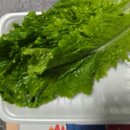 족발신선생검단아라점