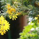 인간과허브 이미지