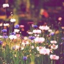 한울푸드 이미지