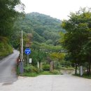 좌구산자연휴양림 이미지