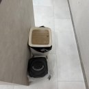 제주인제주 | 포항 호미곶 오션뷰 풀빌라펜션 제주인포항 VIP룸 후기(내돈내산)