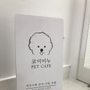 대전펫택시 네이버블로그