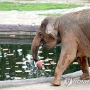 룰루랄라 이미지