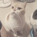 더달라