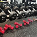 와이짐 | 성신여대 1등 PT샵 더블와이짐 PT 솔직 후기 + 시설 소개