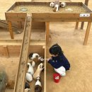 천안메추리농장 | 용인ㅣ아이랑 가볼만한 곳, 무럭무럭농장 주말 방문후기