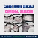 장판24시