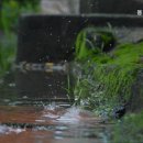 봄날실버센터 이미지