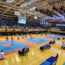 꿈나무태권도 이미지