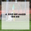 앙포레모리노 이미지