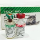 도래약국 이미지