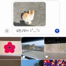 디저트39 남원춘향점 | 당일치기 남원] 9n년대생은 다 쾌걸춘향 봤다