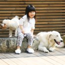 펫피랜드 이미지