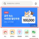 공주애견