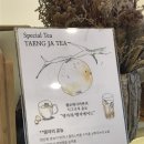 군산의자 | 군산대형카페 첼로네시아 메뉴 추천/후기/월명동카페