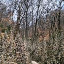 양덕동458 | 창원 팔용산 등산 후기 (봉암수원지~팔용산정상~불암사~돌탑)