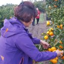 진선미농장 이미지