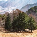 산너미목장 이미지