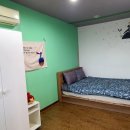 베조아니 이미지