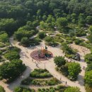 삼선산수목원 숲속도서관 | 6만 평 무료! 당진 삼선산수목원 SEO 전문가 심층 분석