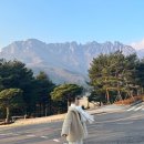 디자인씨오