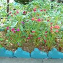 삼익공인중개사사무소 이미지