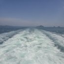 욕지일주로가로수 | 통영 욕지도 숙소 깔끔하고 가성비 좋은 곳 욕지와이드펜션 후기