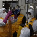 일신마트 이미지