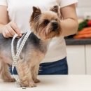 라온 동물 메디컬센터 이미지