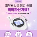 에스텔라 이미지