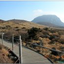 솔오름주차장 이미지