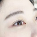 메콰드림
