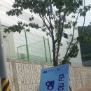 풍세당구장 이미지