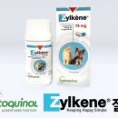 베토퀴놀코리아(주) 이미지