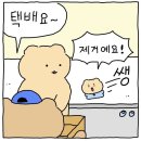 참내들농장 | 무엇을 샀니? 4_다이소