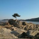 신도시당구클럽 이미지