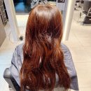 둘둘미용실 | 삼성역미용실 추천, 프리미엄퓨어스파 무이삼성점 김대현원장님 후기