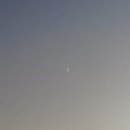 젠틀리하우스 이미지