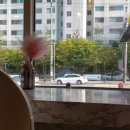 신흥주공2단지 앞 이미지