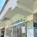 서면 자전거도로 | 동래 온천천 무료 자전거대여 정보, 위치 (+ 4/6 벚꽃 개화상황)