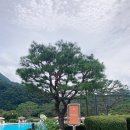 파란 카페 앤 호스텔 | 제천 월악산유스호스텔 301호 객실 가격 아기랑 풀장 레이크앤마운틴 피자 조식 이용 후기
